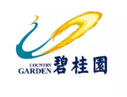 博罗碧桂园地产
